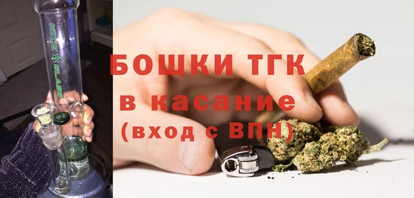 прущие грибы Сафоново