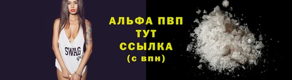 прущие грибы Сафоново