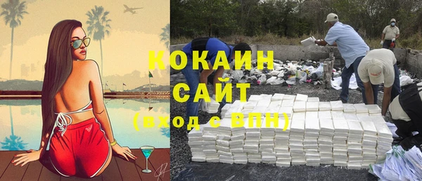 прущие грибы Сафоново